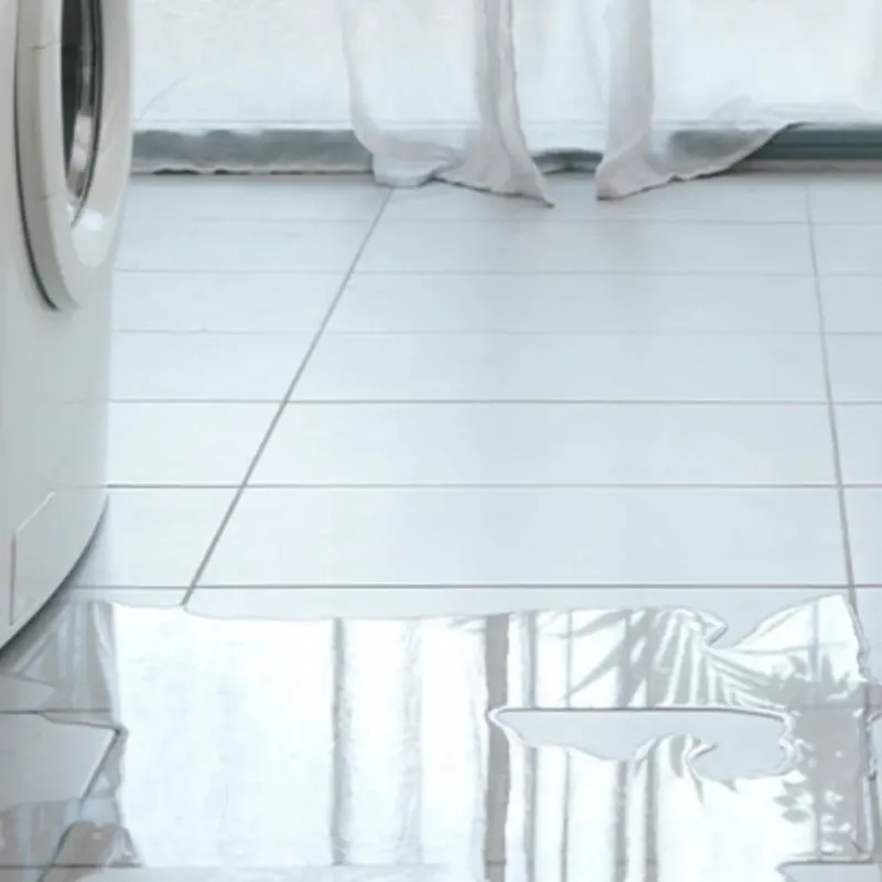Appliance Leak Cleanup in Springvale, ME