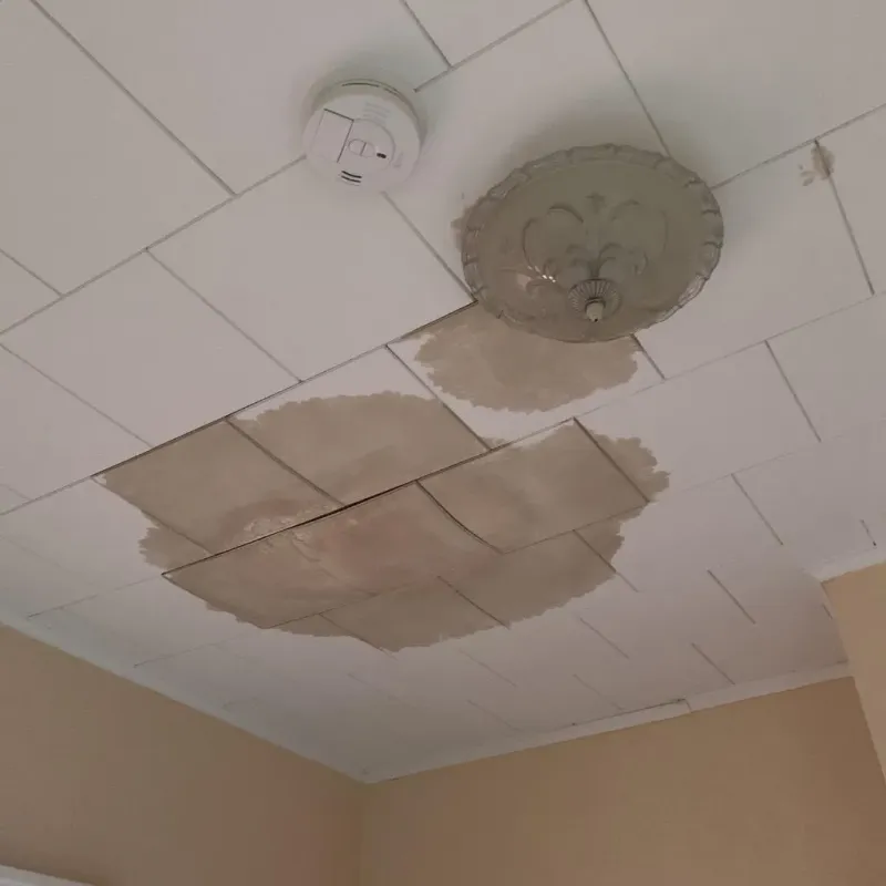Ceiling Water Damage Repair in Springvale, ME