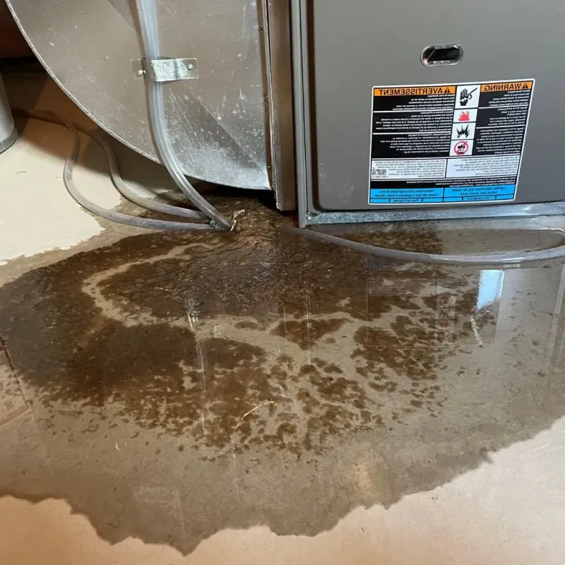 Pipe Burst and Leak Restoration in Springvale, ME