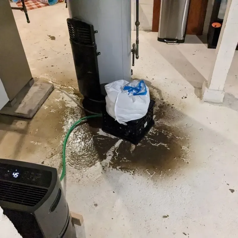 Sewage Backup Cleanup Service in Springvale, ME